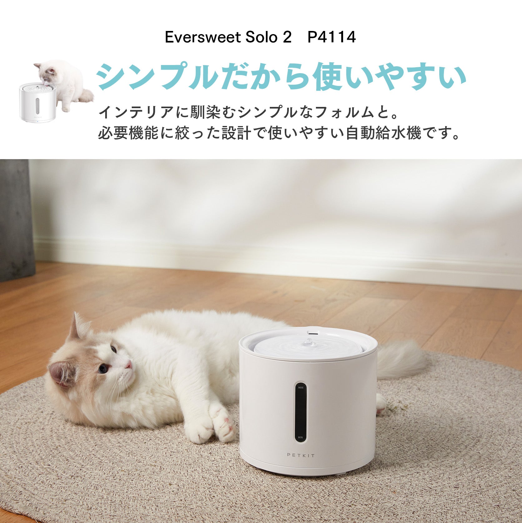 Eversweet Solo 2の商品イメージ